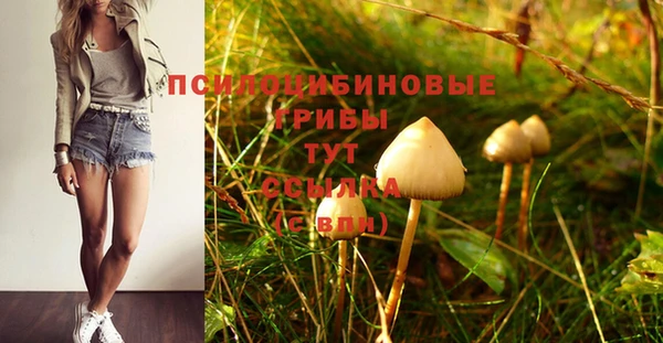 a pvp Алзамай