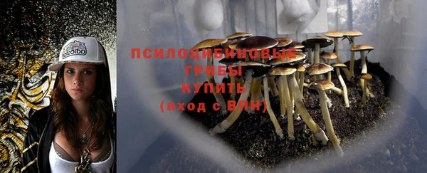 винт Абинск