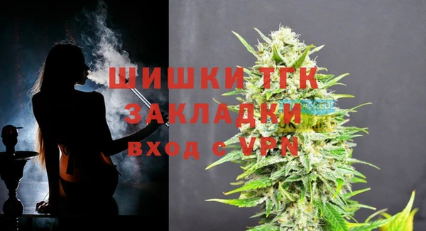 МДПВ Абаза