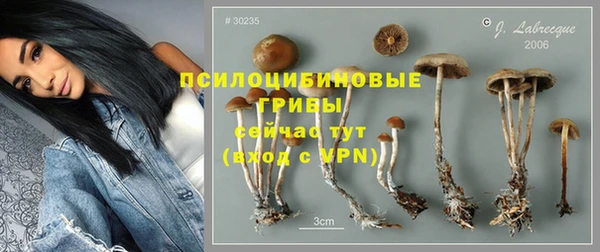 винт Абинск