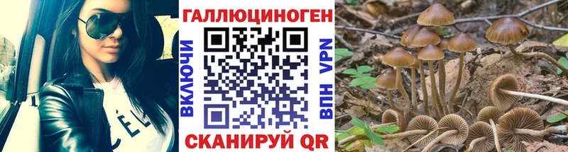 хочу наркоту  Орёл  Галлюциногенные грибы GOLDEN TEACHER 